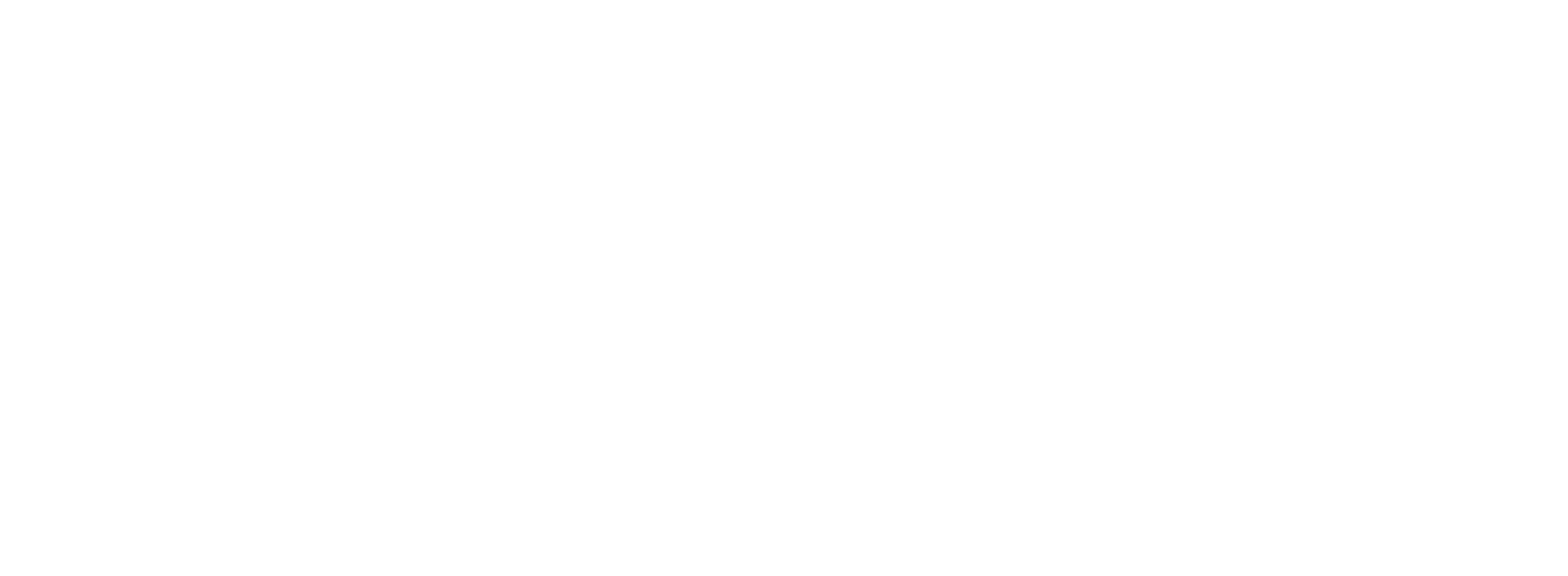 The Aesthetic Plastic Surgery
